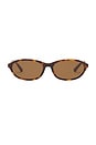 view 1 of 4 GAFAS DE SOL LUCIA  in Classic Havana