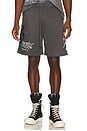 view 5 of 6 ШОРТЫ SKULL in Charcoal
