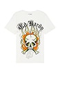 view 1 of 4 Flame Skull Tee in Ivory