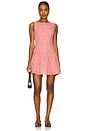 view 1 of 4 Marieka Mini Dress in Red Gingham
