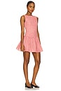 view 2 of 4 Marieka Mini Dress in Red Gingham