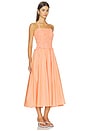 view 2 of 4 Paloma Dress in Orange Stripe