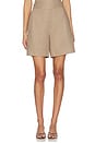 view 1 of 6 Mavi Shorts in Mocha