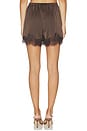 view 4 of 6 SHORT KAIA  in Chocolate Brown