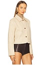 view 3 of 5 Kinsley Jacket in Tan