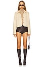 view 5 of 5 Kinsley Jacket in Tan