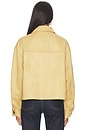view 4 of 5 LIORA ヴィーガンスエードジャケット in Camel