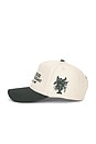 view 4 of 4 Jardin De Fleurs Cap in Beige & Green