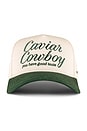 view 2 of 4 Caviar Cowboy Cap in Beige & Forest Green