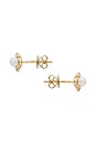 view 2 of 2 스터드 귀걸이 in 14k Yellow Gold