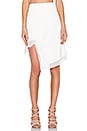 view 1 of 3 Long Point Skirt in Off White