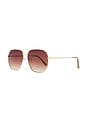 view 2 of 3 Corvus Sunglasses in Gold & Dark Tort