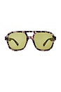 view 1 of 3 Whirlpool Sunglasses in Charcoal Tortoise & Sage Tint