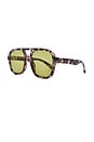 view 2 of 3 Whirlpool Sunglasses in Charcoal Tortoise & Sage Tint