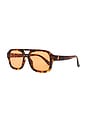 view 2 of 3 Aquarius Sunglasses in Rich Amber Tort & Cinnamon Tint
