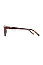 view 3 of 3 LUNETTES DE SOLEIL NYXIS  in Dark Tort & Khaki Mono