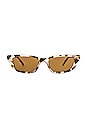 view 1 of 3 LUNETTES DE SOLEIL TITANIA in Cookie Tort