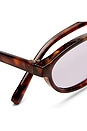 view 3 of 3 LUNETTES DE SOLEIL EARTHSHINE in Amber Tort & Lavender Tint