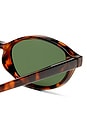 view 3 of 3 LUNETTES DE SOLEIL EARTHSHINE in Dark Tort & Green Mono