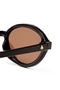 view 3 of 3 LUNETTES DE SOLEIL PYXIS in Chocolate & Brown Mono