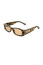 view 2 of 2 X Von Dutch Innocence Sunglasses in Leopard