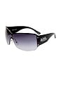 view 2 of 7 GAFAS DE SOL VON DUTCH TABLOID  in Gold & Black