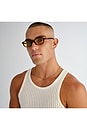 view 5 of 7 Kinetic Sunglass in Auburn