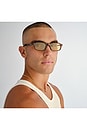 view 6 of 7 Kinetic Sunglass in Auburn