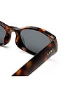 view 4 of 7 Caellum Sunglass in Dark Tort