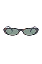 view 1 of 2 Avior Sunglasses in Dark Tort