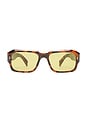 view 1 of 3 Pluto Sunglasses in Syrup Tort & Sage Tint