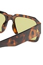 view 3 of 3 Pluto Sunglasses in Syrup Tort & Sage Tint