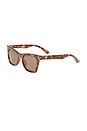 Bellatrix Sunglasses