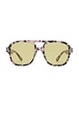 view 1 of 3 Whirlpool Sunglasses in Charcoal Tort & Sage Tint