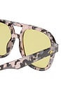 view 3 of 3 Whirlpool Sunglasses in Charcoal Tort & Sage Tint