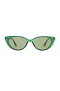 view 1 of 3 LUNETTES DE SOLEIL AMALTHEA in Emerald & Green Mono