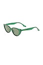 view 2 of 3 LUNETTES DE SOLEIL AMALTHEA in Emerald & Green Mono