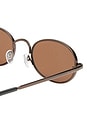 view 3 of 3 Regulus Sunglasses in Chocolate & Chocolate Mono
