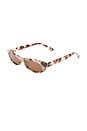 view 2 of 3 Avoir Sunglasses in Cookie Tort & Brown Mono