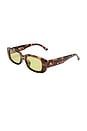 view 2 of 2 Ceres Sunglasses in Dark Tort & Sage Tint