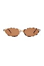 view 1 of 2 Earthshine Sunglasses in Cookie Tort & Brown Tint