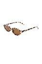 view 2 of 2 Earthshine Sunglasses in Cookie Tort & Brown Tint