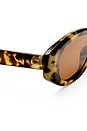 view 3 of 3 Affinity Sunglasses in Mottled Tort & Brown Mono
