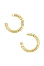 view 2 of 3 Kayo Earrings in Gold Plated