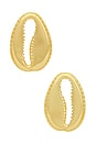 view 1 of 2 Concha Earrings in Gold Plated
