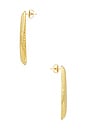 view 2 of 2 Concha Earrings in Gold Plated