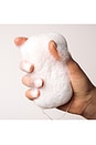 view 5 of 6 ESPONJA CORPORAL THE COMPOSTABLE KONJAC BODY SPONGE in 