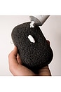 view 4 of 6 ÉPONGE CORPS THE EXFOLIATING COMPOSTABLE KONJAC BODY SPONGE in 