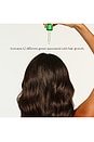 view 4 of 6 Everboost Scalp Serum in 