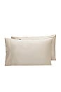 view 1 of 2 Standard Signature Sateen Pillowcase Set in Sand